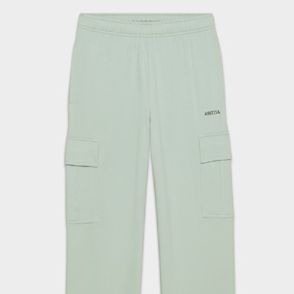 Aritzia Sweatfleece Terry Cargo Sweatpant - Picture 3 of 4